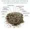 Fiory Alpiland Rose сено для грызунов  Альпийское с розой  #2